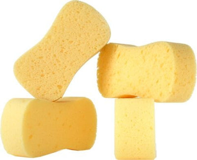 Foam - Sponge - Dog Bone